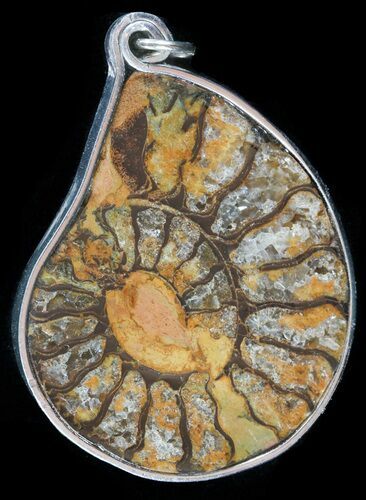 Moroccan Ammonite Fossil Pendant #58358